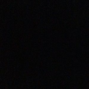 Meet your Posher, Patita